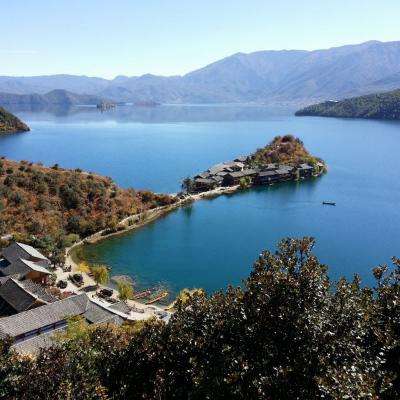 蛇蛇双人大作战